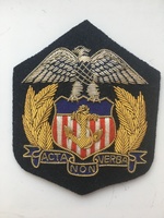 usmma-blazerpatch2-1.JPG